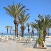 Image 9: ✈ TUNISIE | Monastir - Blue Beach Golf & spa 4* - Tout inclus
