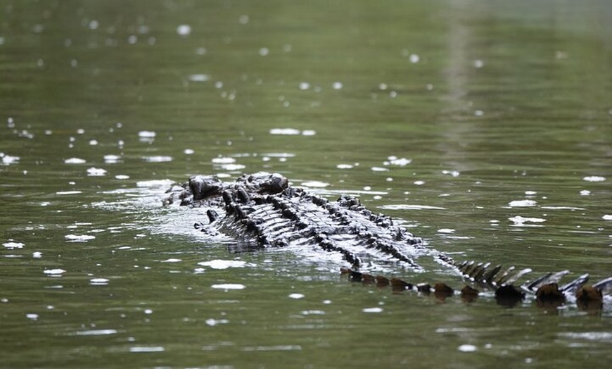 Image 7: Private Luxury Daintree Dream Tour All Inclusive