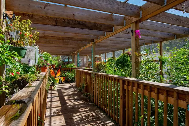 30-Minute Airboat Ride, Lunch, Gem Mining and Park Admission