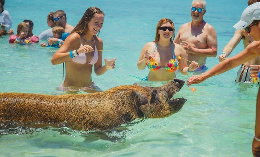 Image 2: Guided All Inclusive Beach Day Excursion in Bahamas