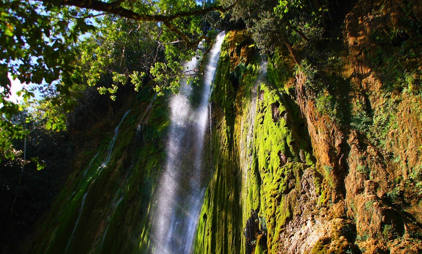 Image 13: ✈ REPUBBLICA DOMINICANA | Punta Cana - Il meglio della Repubblica D...