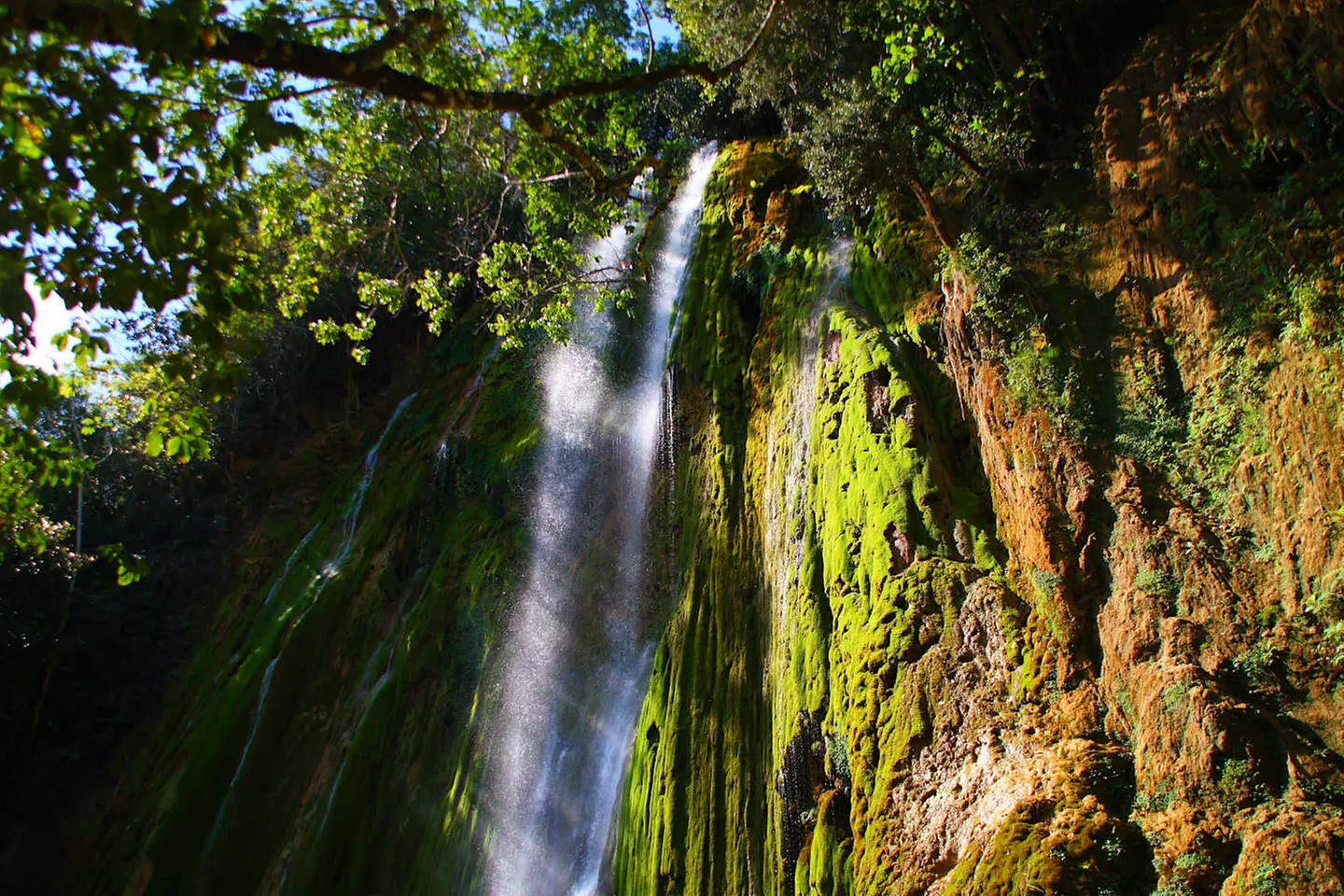 ✈ DOMINIKANISCHE REPUBLIK | Punta Cana - Das Wichtigste über die Do...