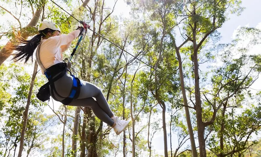 Image 6: Gold Coast Canyon Flyer Zipline Tour