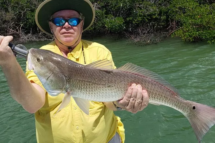 1/2 Day Morning Charter Fishing Naples Marco Everglades Sanibel