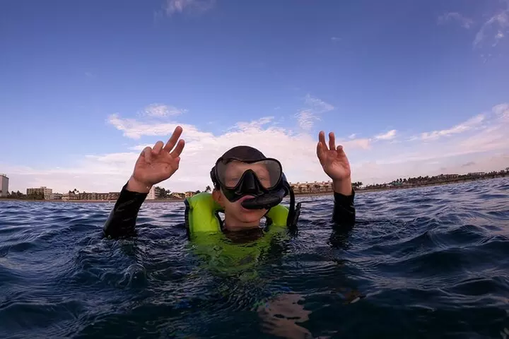 Public Guided Snorkel Tour of Fort Lauderdale Reefs