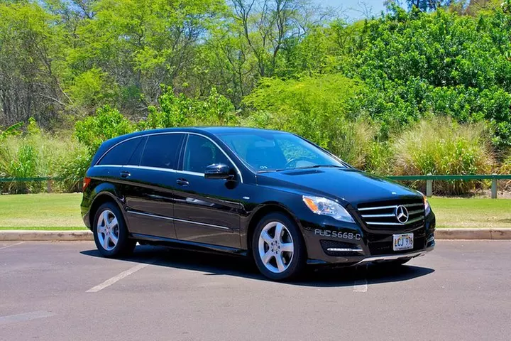 Private Round-Trip Transfer: Honolulu International Airport to Hotel or Cruise Terminal - Primary Image
