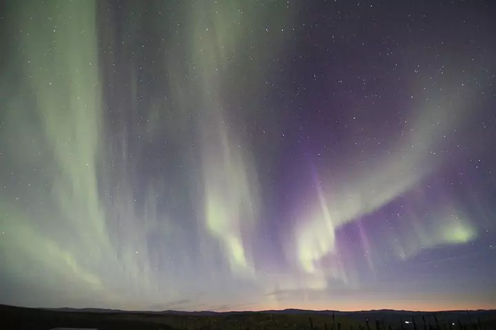 Northern Lights Experience and Cabin Dinner