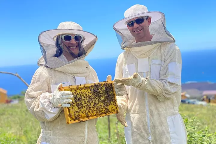 Honey Bee Adventure at the Maui Honey Bee Sanctuary
