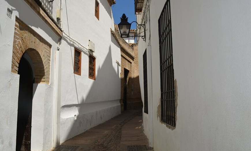 Image 7: Visita intensiva a los monumentos de Córdoba en francés Entradas in...