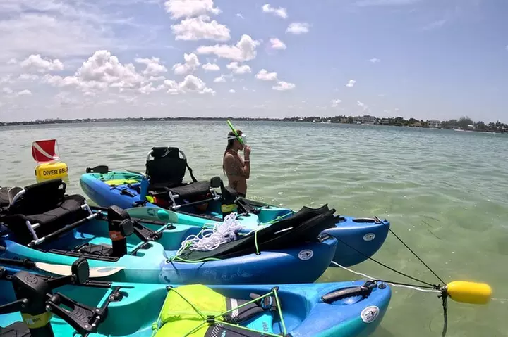 Lido Key Pedal Kayak Tour in Sarasota