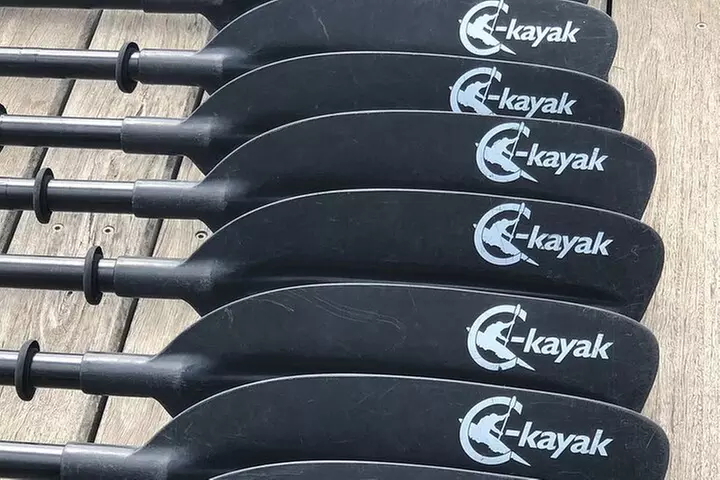 Melbourne City Sights Kayak Tour