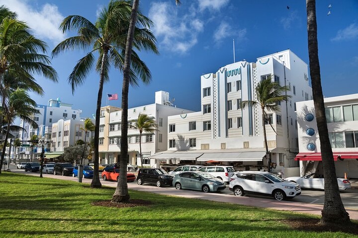 Discover Miami: Full-Day Tour plus Dolphin Mall Shopping
