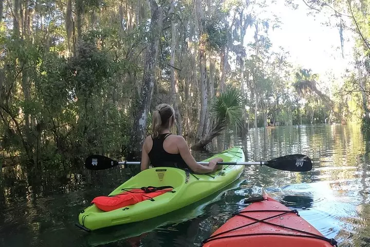 4 Hour Single Kayak Rental In Crystal River, Florida