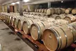 Visite des vins de Syrah (9 h 00 - 13 h 30) - Visites en petits groupes au départ de Lyon - Image 6