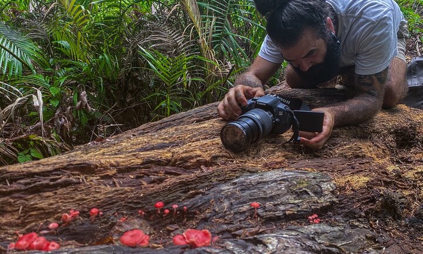 Image 2: 2-Hour Mushroom Photography Activity in Cairns Botanic Gardens