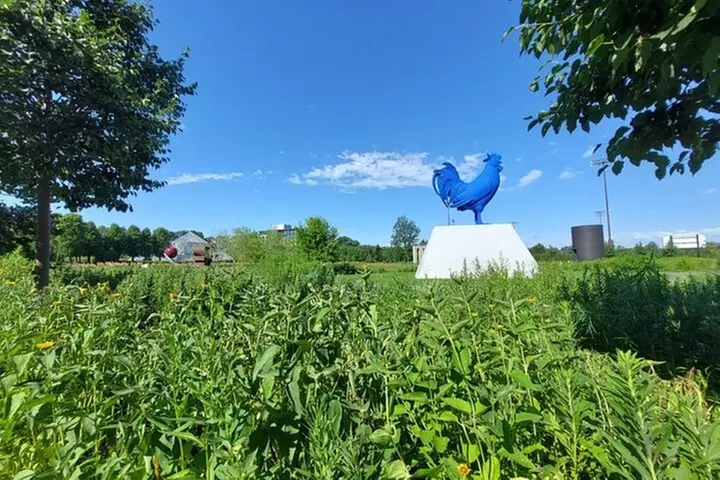 Minneapolis Walking Art Tour - Heart of Downtown