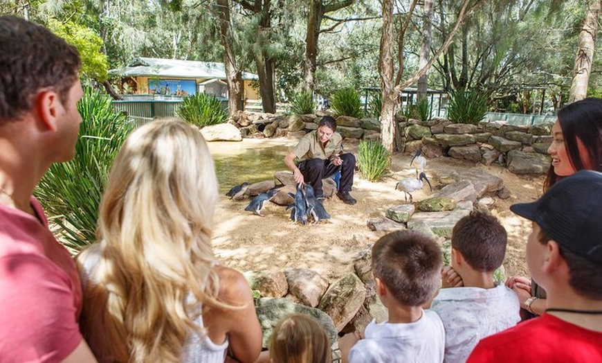 Image 11: Small Group Blue Mountains Wildlife and Bushwalk Tour From Sydney