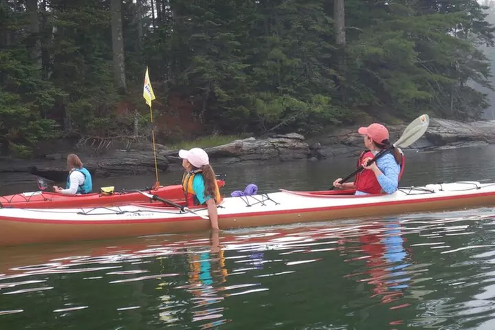 Oyster Farm & Complimentary Tasting Sea Kayak Tour in Casco Bay