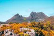 Cradle Mountain National Park Day Tour from Launceston - Image 4