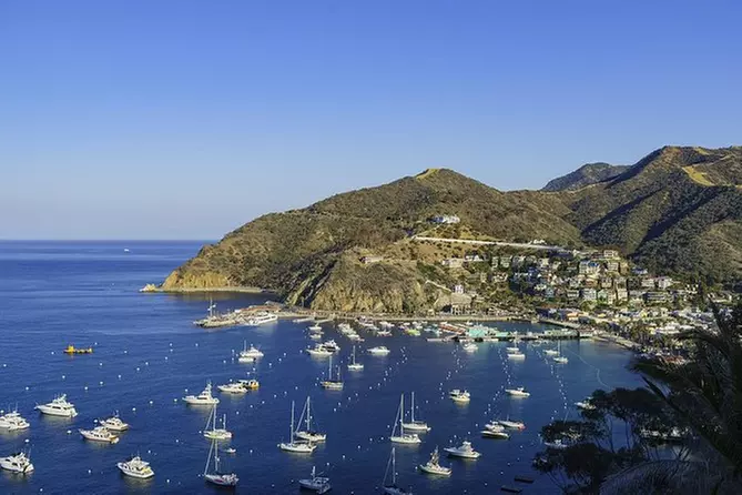 Catalina Island Cruise & Whale Watch From Dana Point - Primary Image
