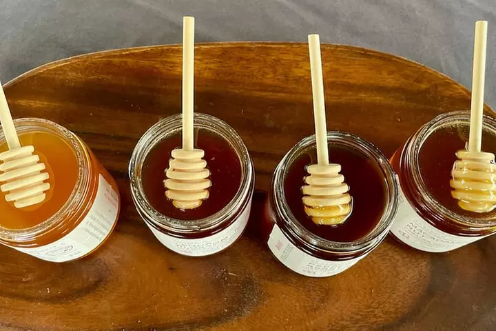 Inside the Hive: Kauai Honey and Bee Tour