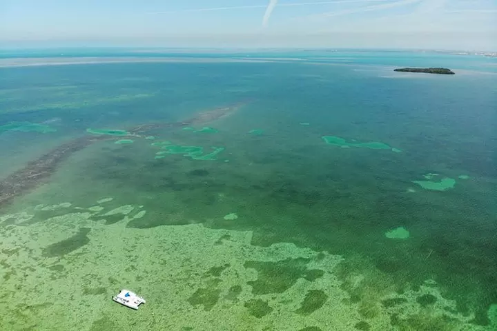 Key West Dolphin and Snorkel Experience