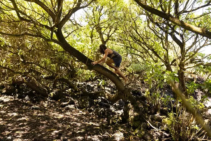 Secret Tide Pool Hike - Jungle & Coast - Private