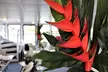From Ma'alaea Harbor: Thanksgiving Dinner Cruise Aboard Calypso - Second Medium