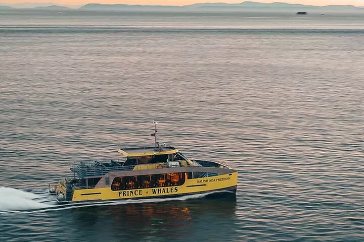 Victoria Sunset Whale Watching Adventure with Free Photos - Primary Image
