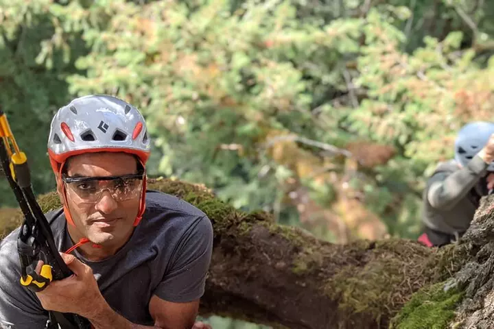 Sunset Tree Climb at Silver Falls State Park