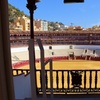 Image 7: Tour por Plaza de Toros y Museo Taurino de Málaga con Audioguía
