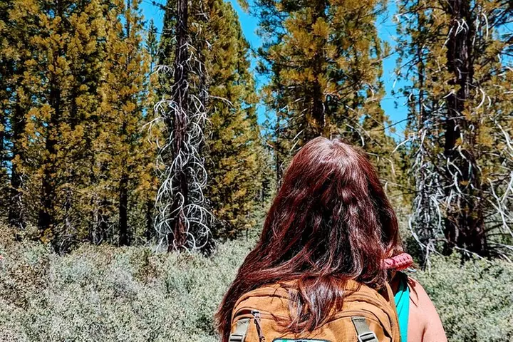 Family-Friendly Nature Hike around the Big Bear Valley