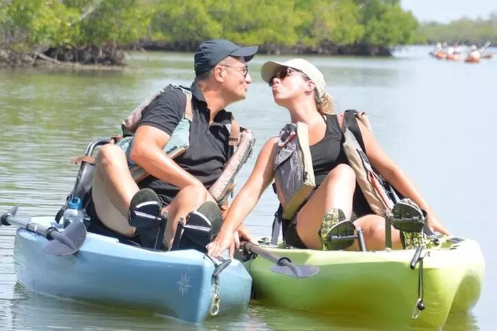 Deluxe Kayak Tour Marco Island and Naples, Florida