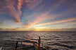 Oahu: Private Sunset Cruise and Dolphin Watch with Hot Buffett - Second Medium