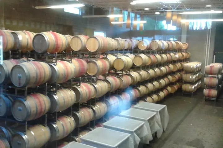 Wine Tasting, Vineyards in Eastern WA from Seattle - Primary Image