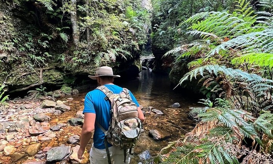 Image 5: Blue Mountains Grand Canyon Private Hike - pick up & drop off