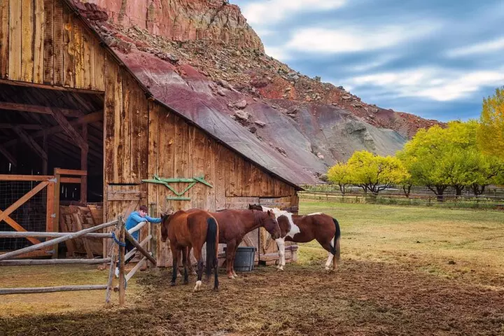 Capitol Reef National Park Self-Guided Driving Audio Tour