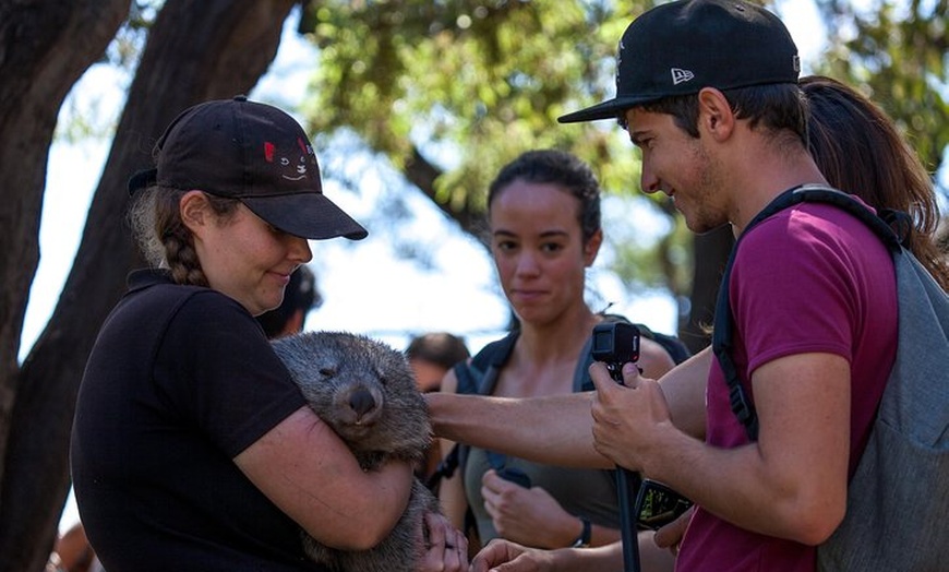 Image 28: Mt Field, Mt Wellington & Tassie Devils Active Tour from Hobart