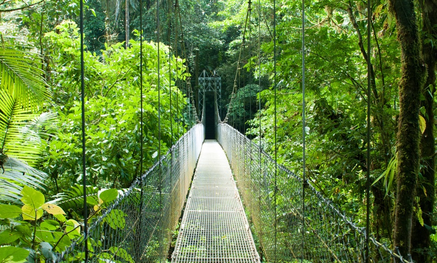 Image 7: ✈ COSTA RICA | San José - Jungles et Forêts 3* - Circuit