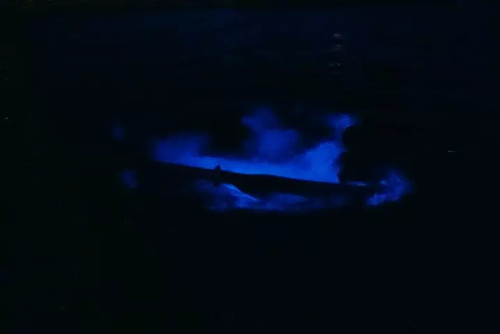 Thousand Islands Bioluminescent Kayak Tour with Cocoa Kayaking!