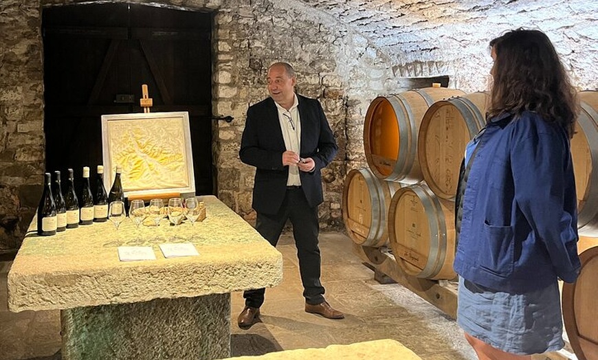 Image 6: Excursion privée d'une journée à Chablis et aux vins de Bourgogne a...