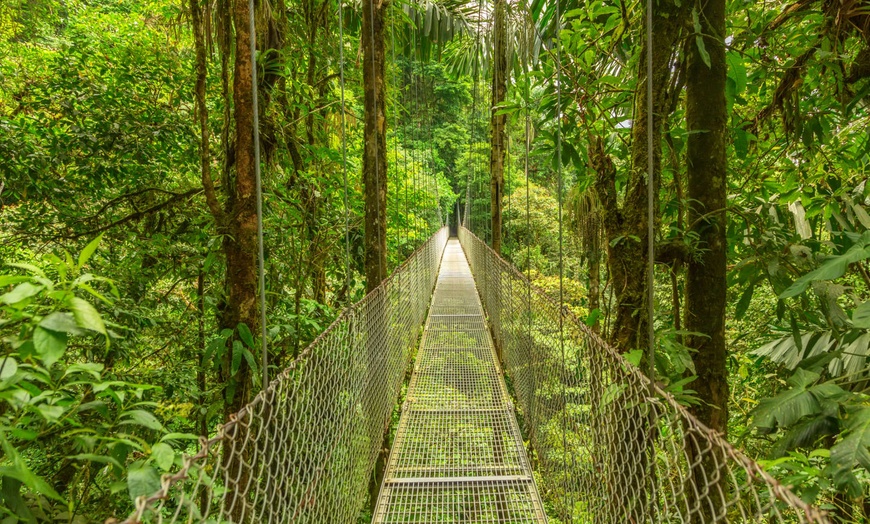 Image 24: ✈ COSTA RICA | De San José à Manuel Antonio - Entre Jungle, Plage E...