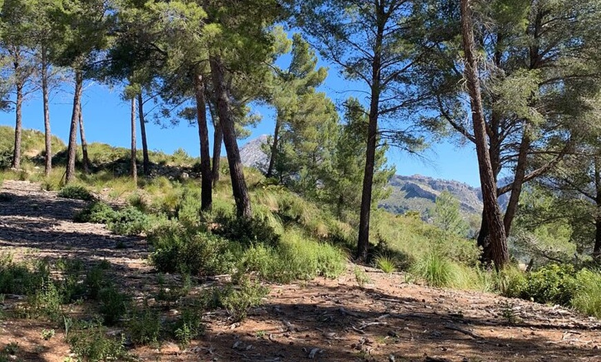 Image 8: Sierra de Tramuntana caminata con pequeño picnic