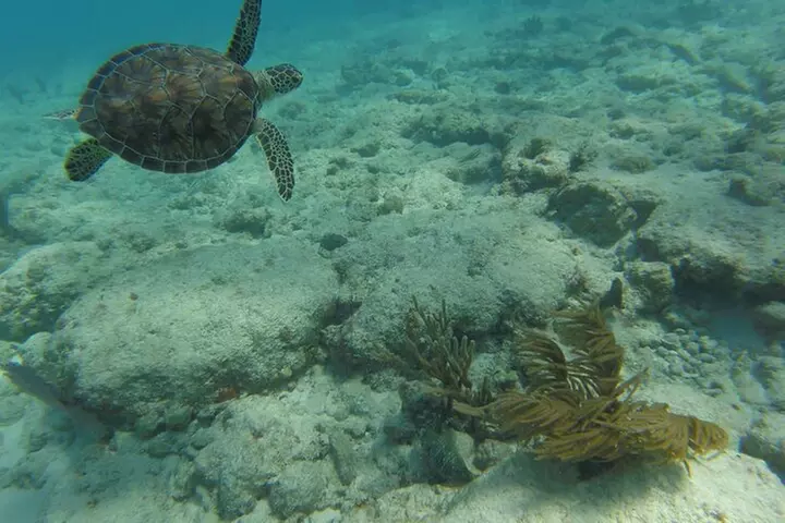 Florida Key Private Islands Exclusive Day Trip from Miami w/activ