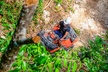 Discover Cancun's Wild Side: ATV, Zip Lines, Cenote, Lunch & More - Second Medium