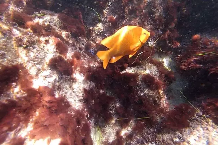All Day Snorkel Package Rental - Primary Image
