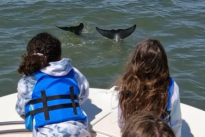 90-Minute Private Dolphin Tour in Hilton Head Island