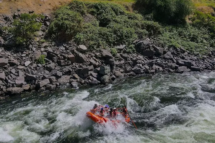 Riggins Idaho half-day rafting trip on the Salmon River