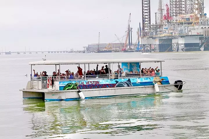 Dolphin Sightseeing Tour with Guide - Primary Image