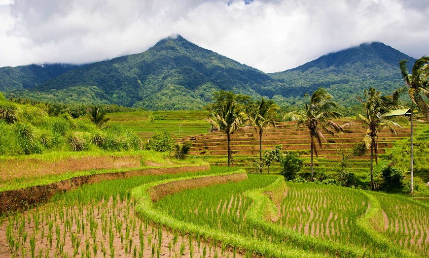 Image 16: ✈ INDONESIEN | Bali - Das Wesentliche von Bali in 6 Nächten 4* - Ru...